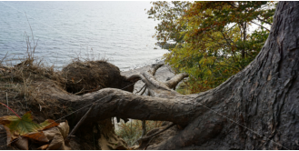 Martin Georg - Groemitz-Foto