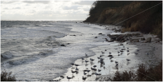 Martin Georg - Groemitz-Foto