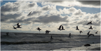 Martin Georg - Groemitz-Foto